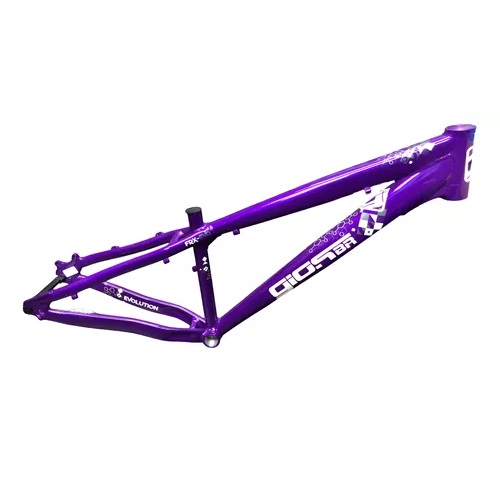 Quadro Bike Bicicleta BMX Wheeling Grau GIOS FRX-EVO 26X13,5 Roxo