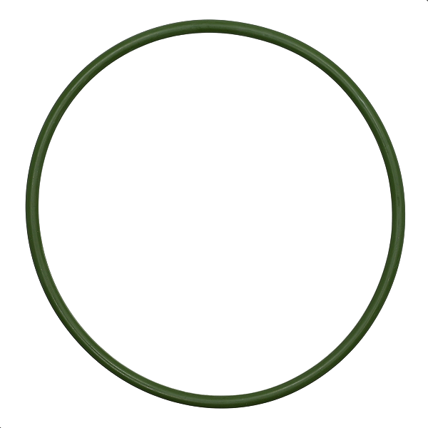 Guarnição Anel Bomba Combustivel Tiida Livina Sentra Flex 1.8 16v Flex