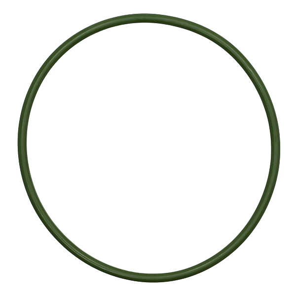 Guarnição Anel Bomba Combustivel Tiida Livina Sentra Flex 1.8 16v Flex