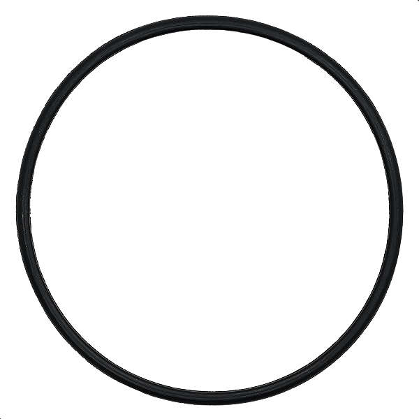 Anel Vedação Guarnição Bomba Combustível Peugeot 206 406 Partner TODOS