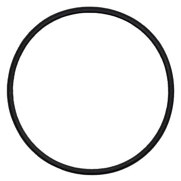 Anel Vedação Guarnição Bomba Combustível Peugeot 206 406 Partner TODOS