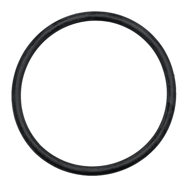 Anel Vedação Guarnicão Bomba De Combustivel S10 Blazer