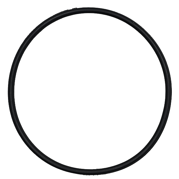 Guarnição Borracha Anel Vedação Bomba De Combustível Renault Todos