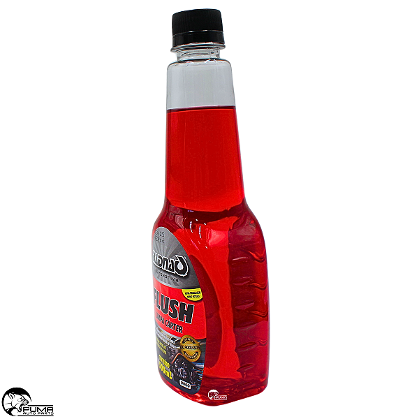 Flush Limpa Carter Automotivo Radnaq 500ml