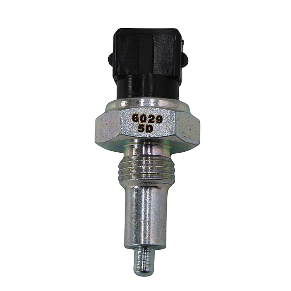 Cebolinha Interruptor Luz De Ré Jumper Ducato Boxer