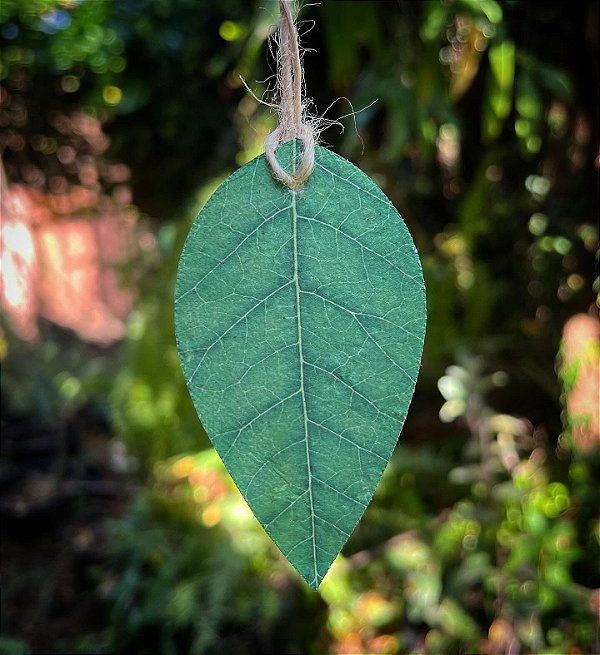 Tag modelo folha 5x9cm