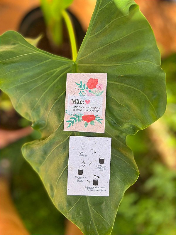 Tag 5x7cm em papel semente plantável dia das mães