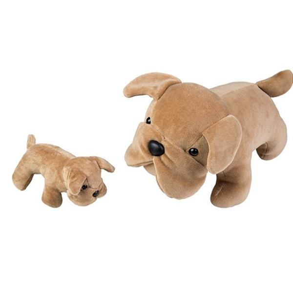 BULDOG FRANCES GRAVIDA COM 1 FILHOTE