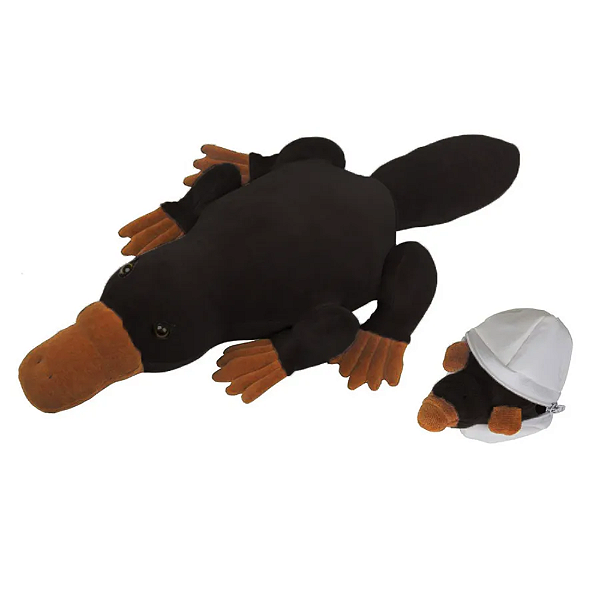ORNITORRINCO GRAVIDA COM 1 FILHOTE