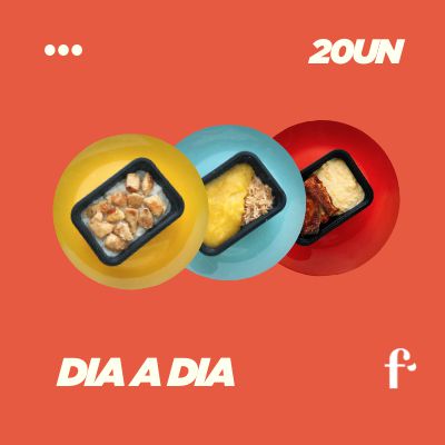 Dia A Dia 1 - Kit mais vendidos | 20 pratos