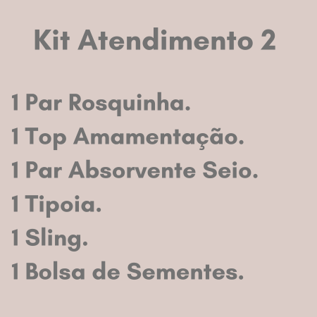Kit Atendimento para Consultora Materna 2