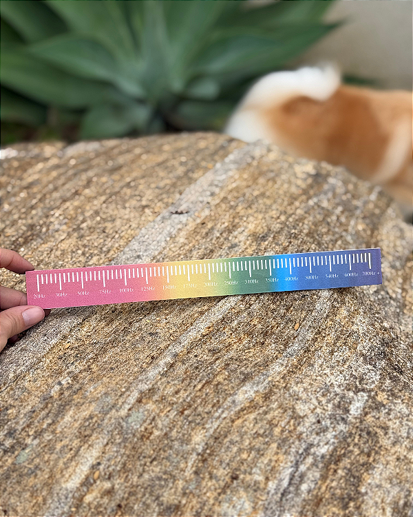 Régua para Medir Frequência P