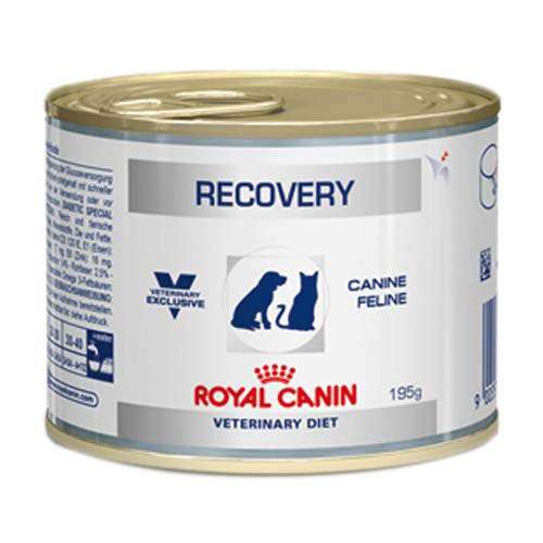 Royal Canin Lata Cat/Dog Recovery 195g