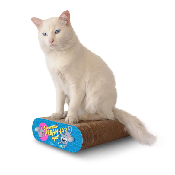 Banho a Seco para Gatos Banho de Gato CatMyPet Único