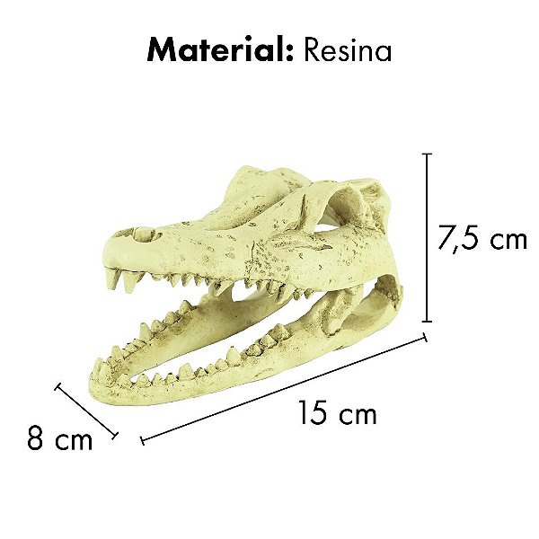 ENFEITE DE RESINA SOMA ESQUELETO CABECA DE CROCODILO PQ