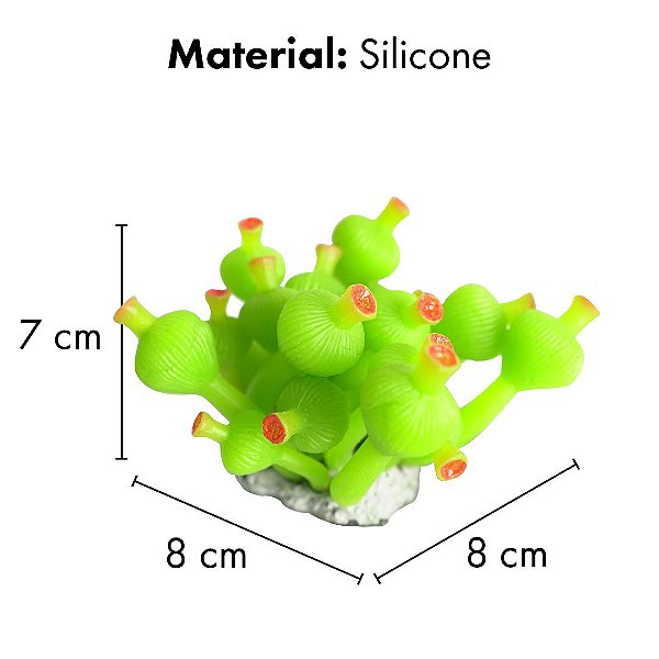 ENFEITE DE SILICONE SOMA ALGA BULBO DO MAR VERDE