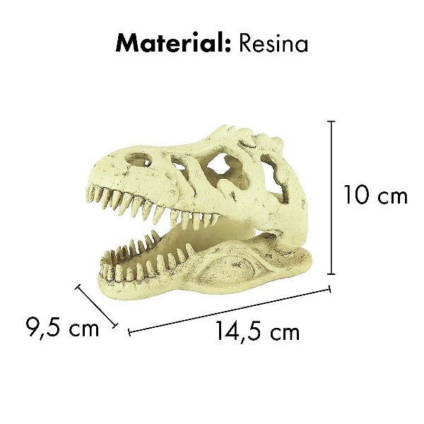 ENFEITE DE RESINA SOMA ESQUELETO CABECA DE TIRANOSSAURO REX PQ
