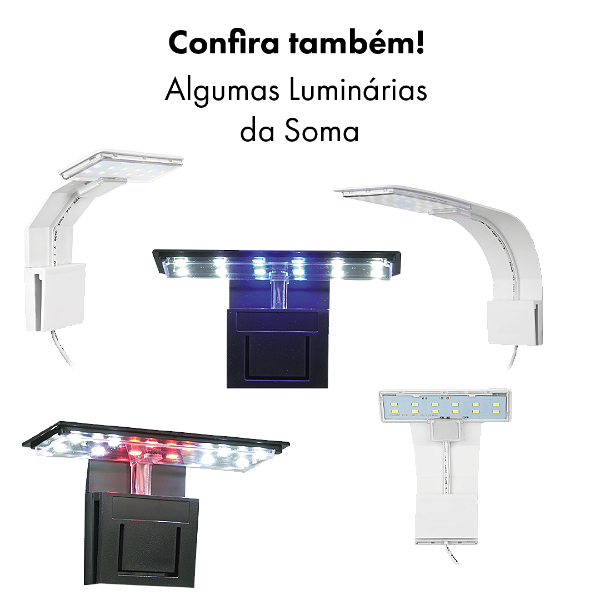 LUMINARIA LED SOMA M3 TRANSPARENTE (5W) LED BRANCO 127V