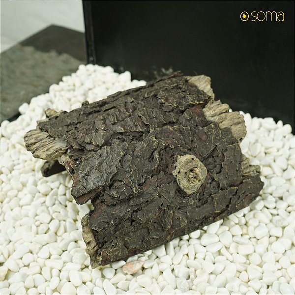 ENFEITE DE RESINA SOMA TRONCO TUNEL 24(16X13X8 CM)