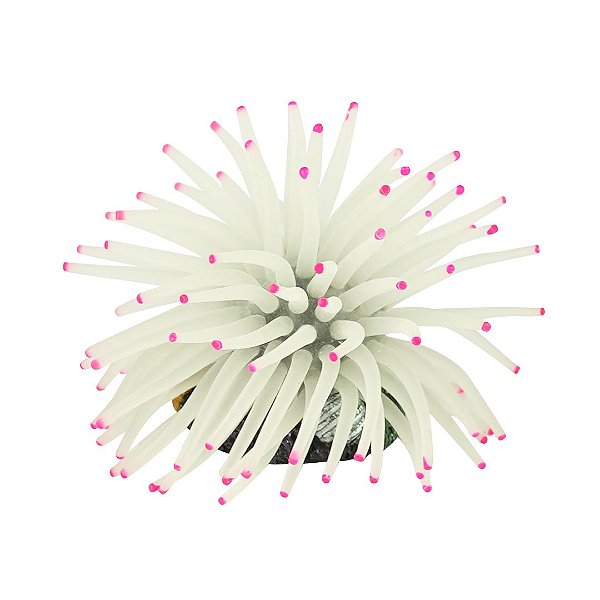 ENFEITE DE SILICONE SOMA ANEMONA SHORT BRANCA 6 CM