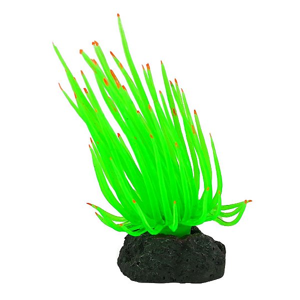ENFEITE DE SILICONE SOMA ANEMONA LONG TENTACLE VERDE