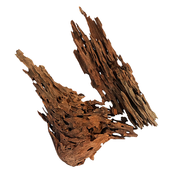 TRONCO SOMA DRAGON WOOD MIX(VENDA POR KG)