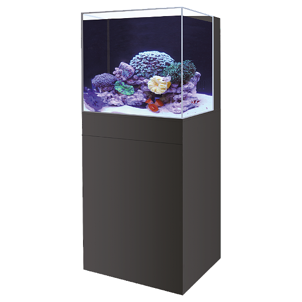 AQUARIO MARINHO BOYU COM SUMP  TRASEIRO/MOVEL HA- 450A 80L PRETO 220V
