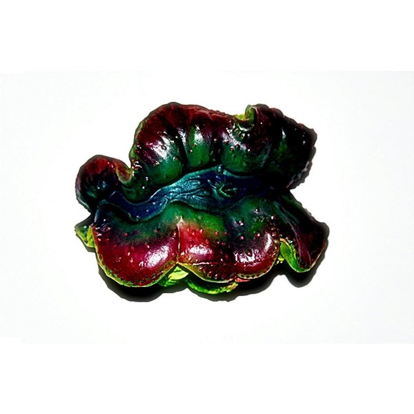 ENFEITE DE SILICONE SOMA INVERTEBRADO TRIDACNA