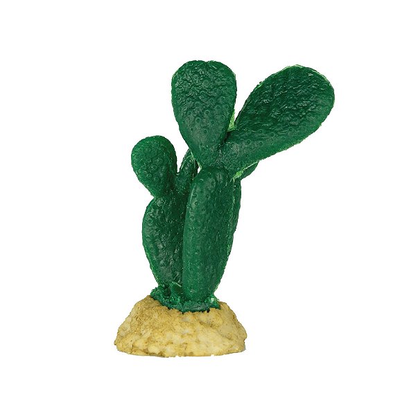 ENFEITE DE SILICONE SOMA PLANTA CACTUS 08