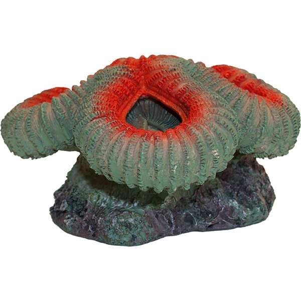ENFEITE DE RESINA SOMA CORAL CEREBRO OPEN VERMELHO