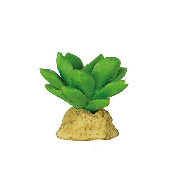 ENFEITE DE SILICONE SOMA PLANTA CACTUS 15