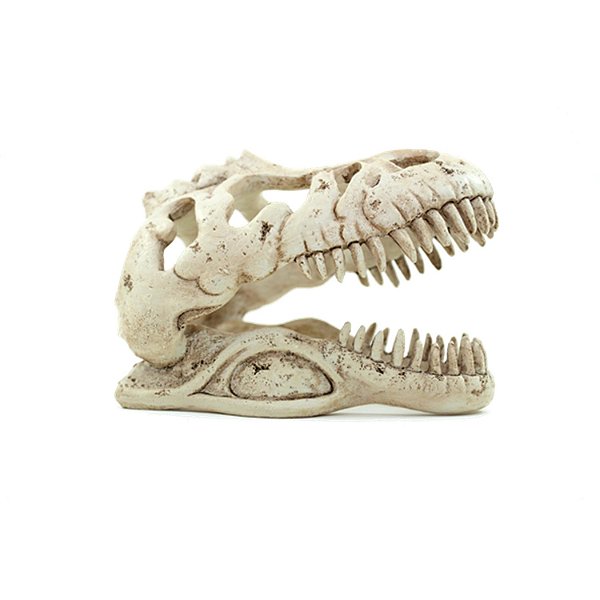Enfeite Resina Soma Esqueleto Cabeça De Tiranossauro Rex Pq
