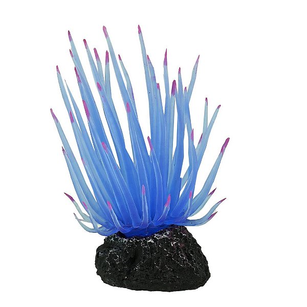 ENFEITE DE SILICONE SOMA ANEMONA LONG TENTACLE AZUL