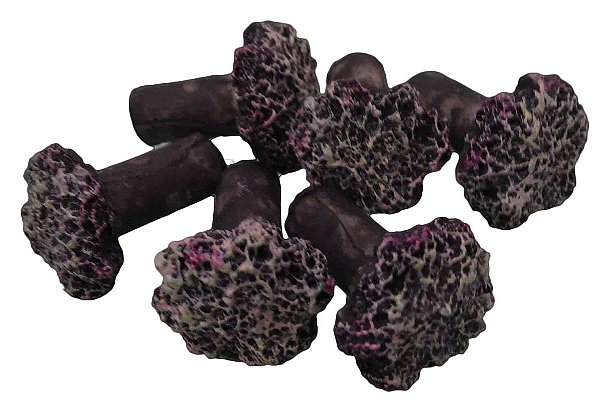 PLUG DE RESINA SOMA FRAG PLUG COLOR TOOL(6UN)