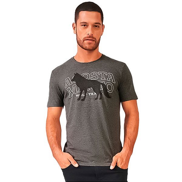Camiseta Acostamento Wolf Travel VE24 Cinza Masculino