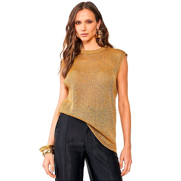 Blusa Tricô Colcci Slim Shine Ou24 Marrom Delle Feminino
