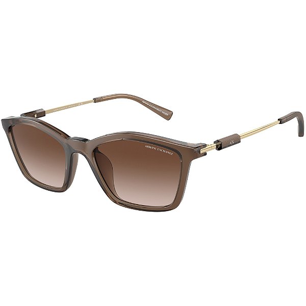Óculos de Sol Armani Exchange 4146SU 834913 Marrom Feminino