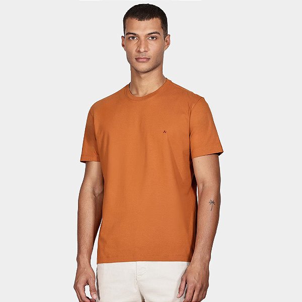 Camiseta Aramis Basic Ou25 Laranja Masculino