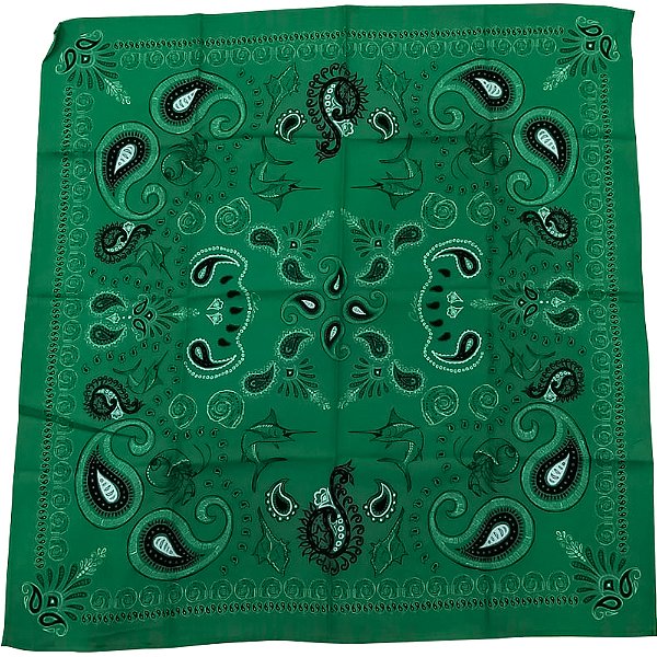 Lenço Colcci Ecos do Oceano Av26 Verde Feminino