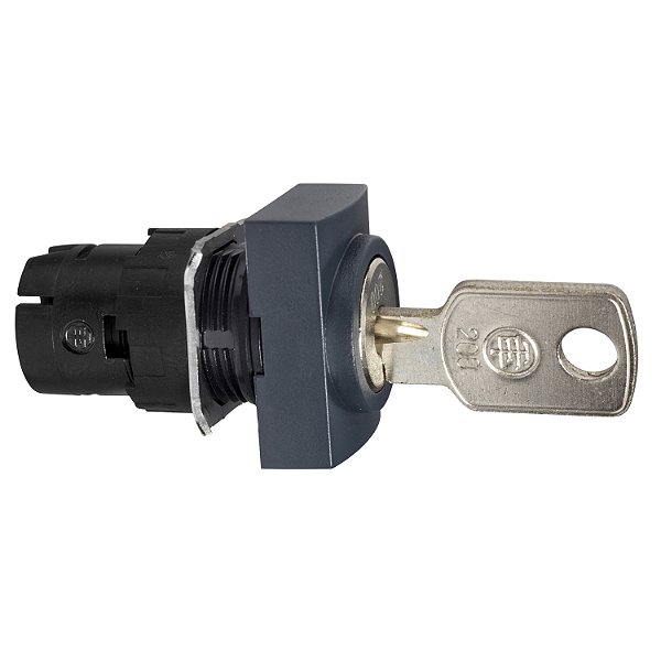 Cabecote Para Comutador 16Mm Com Chave Retang 2Posicoes Cen ZB6DGB SCHNEIDER