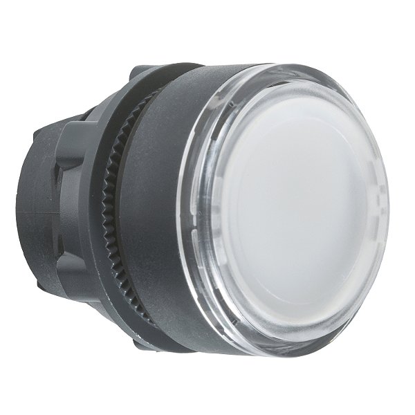 Cabeçote Para Botão Luminoso Ø22Mm Plástico, Faceado, Retorno Por Mola, Branco ZB5AA18 SCHNEIDER
