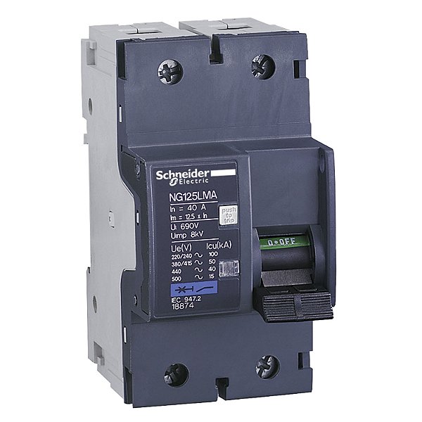 Disjuntor Ng125L 2P 80A Ma 500V 18876 SCHNEIDER