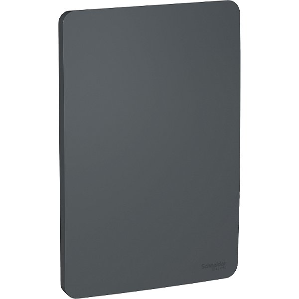 Placa 4X2 Cega Stellar Black S730100294 SCHNEIDER