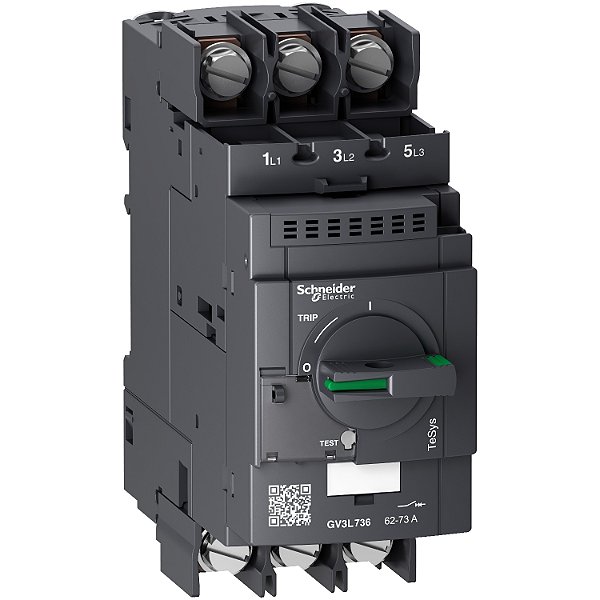 Tesys Gv3L Magnetic Motor Circuit Breaker 73A Lugs Terminals GV3L736 SCHNEIDER