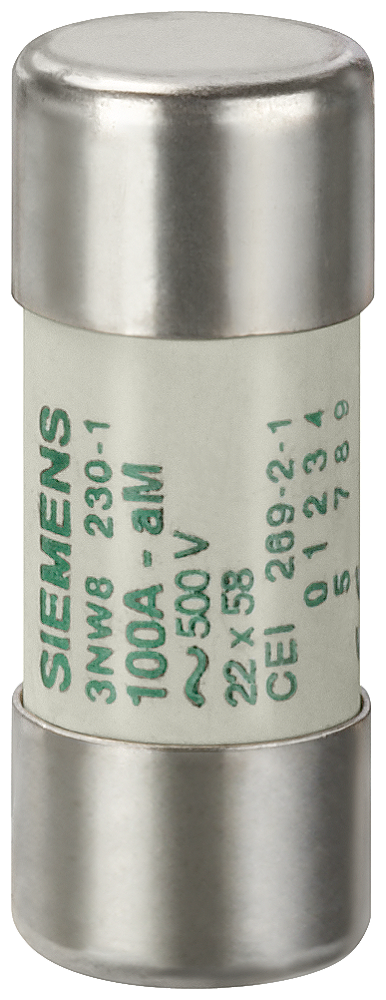 Fusível Cilínd 22X58Mm Am 100A 3NW8230-1 Siemens