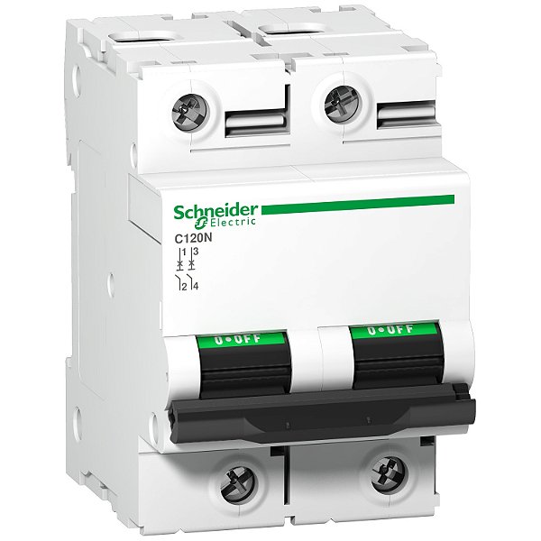 Disjuntor C120N 2P Curva C 100A 440V A9N18362 SCHNEIDER
