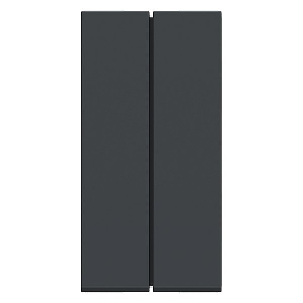 Modulo Duplo Interruptor Paralelo 10Ax 250V 1M Grafite S70100394 SCHNEIDER