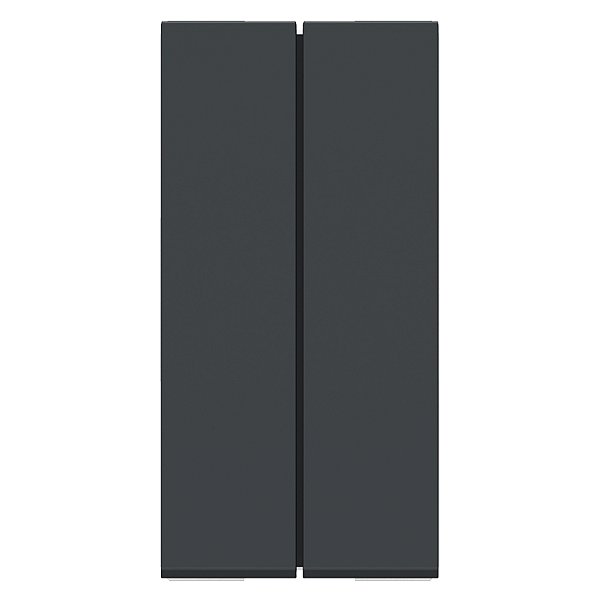 Modulo Duplo Pulsador Universal (Sem Gravacao) 10A 250V 1M Grafite S70100694 SCHNEIDER