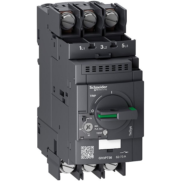 Tesys Gv3P Thermal-Magn Motor Circuit Breaker 62-73A Lugs Terminals GV3P736 SCHNEIDER