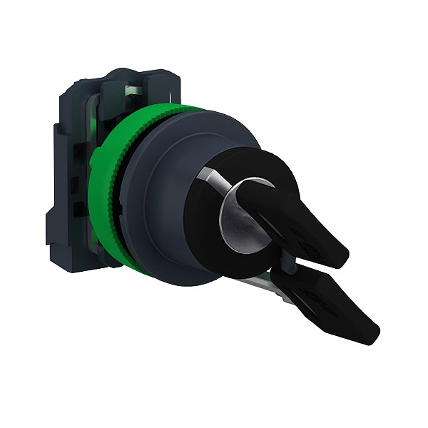 Comutador Faceado Ø30Mm Plástico, 2 Posições Fixas, Com Chave N°455, Preto, Na XB5FG21 SCHNEIDER